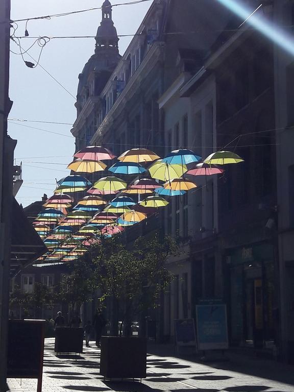 Lille Centre Ville, Beaux Arts Et Grand Palais, Bienvenue Chez Nestyou ليل المظهر الخارجي الصورة